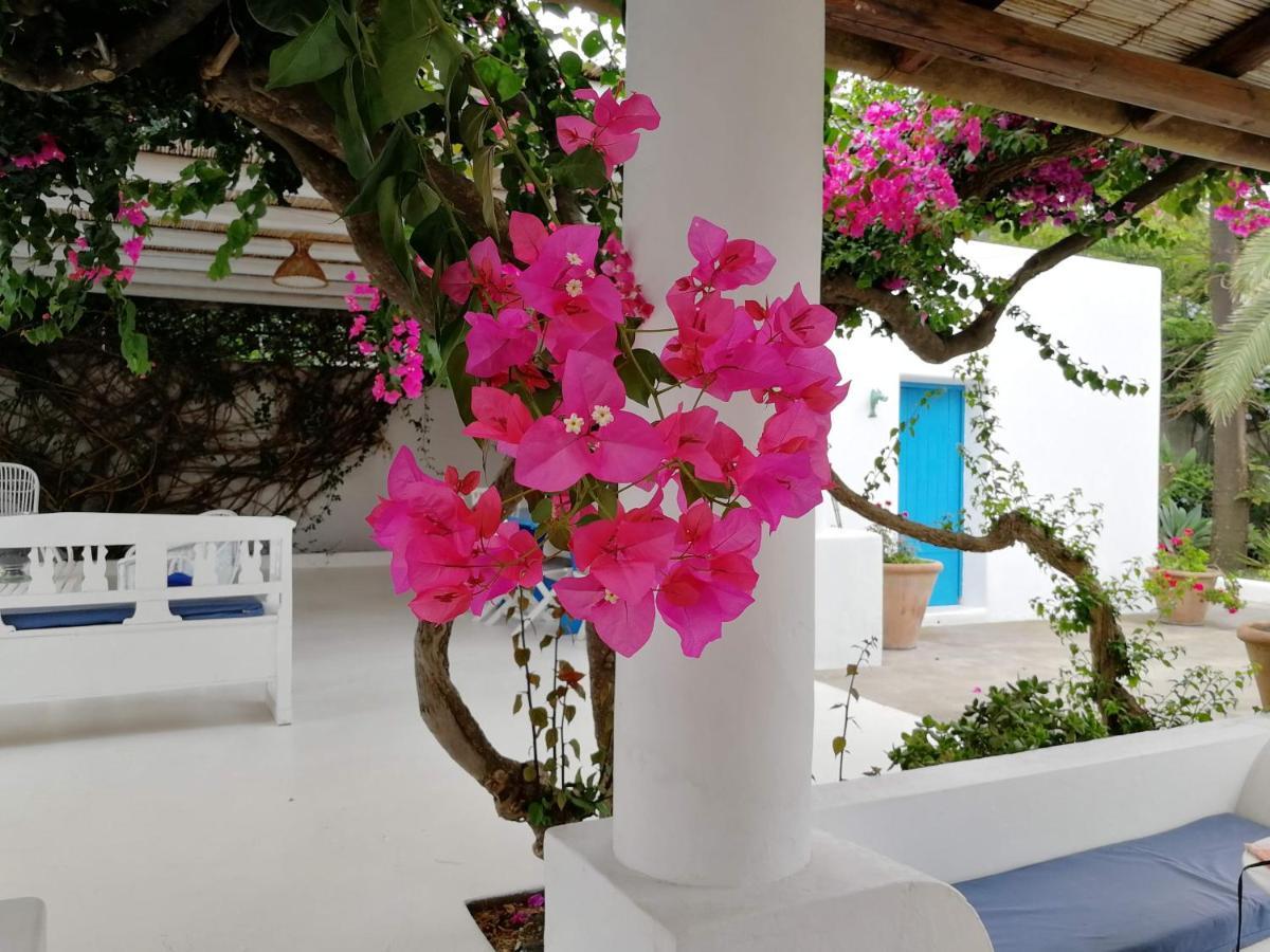 Bed and Breakfast Casa Carlotta à Stromboli Extérieur photo